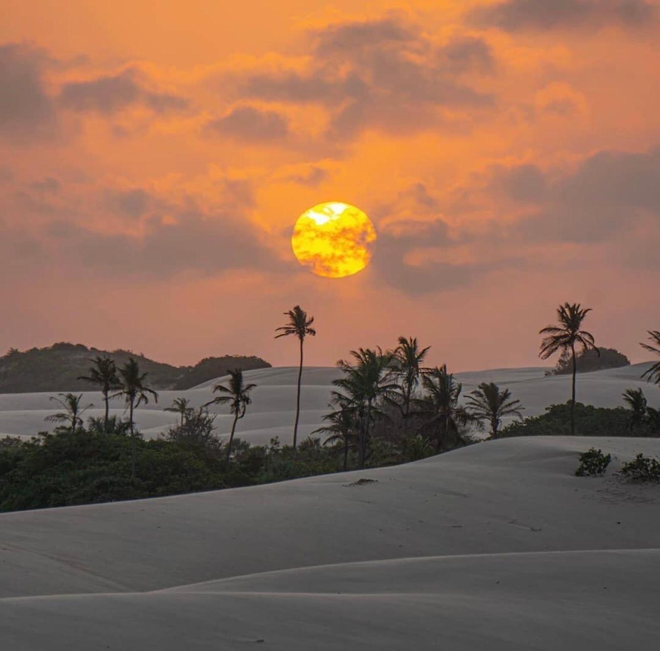 Costa Do Delta
